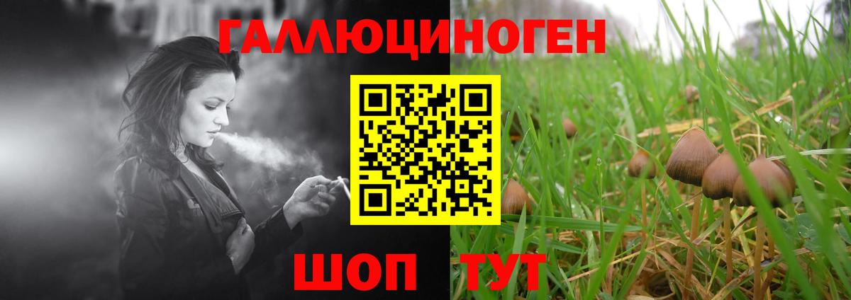 Домодедово  Галлюциногенные грибы мицелий  как найти закладки  Вход с VPN 